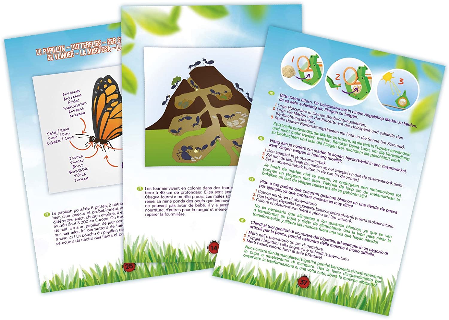 Jodsen Forscherset Für Kinder, Kinderspielzeug Abenteuerset Mit Insektenbox, Lupe, Wissenskarten, Insektenklemme, Pinzette, Multifunktionale Pfeifen, Kids Entdecker Set Für Camping, Wandern, Klettern