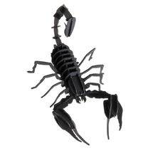 3D Papiermodell - Skorpion FRI-11604 Fridolin 1