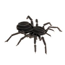 3D Papiermodell - Vogelspinne FRI-11605 Fridolin 1