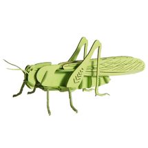 3D Papiermodell - Heuschrecke FRI-11608 Fridolin 1