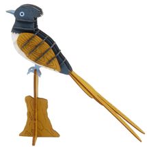 3D Papiermodell - Paradiesvogel FRI-11730 Fridolin 1
