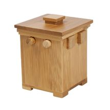 IQ-Test Safe RG-17197 Fridolin 1