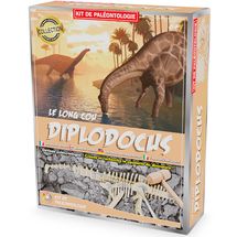 Paläontologie-Kit - Diplodocus UL2824 Ulysse 1