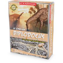 Paläontologie-Kit - Diplodocus UL2824 Ulysse 1