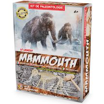 Paläontologie-Kit - Mammut UL2826 Ulysse 1
