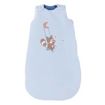 Babyschlafsack Jim und Bob 70 cm NA333375 Nattou 1