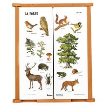 Tafel für Kinder aus Holz Der Wald JJ4671 Jeujura 1