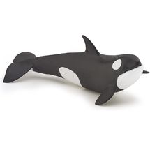 Baby-Orca-Figur PA56040 Papo 1