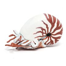 Nautilus-Figur PA-56061 Papo 1