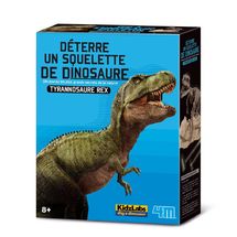 Grabe ein Dino-Skelett T-Rex 4M-5663221 4M 1