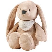 Nachtlicht Kuscheltier Kaninchen Sleepy - beige NA876582 Nattou 1