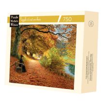 Waldweg im Herbst von Brendekilde A1193-750 Puzzle Michele Wilson 1