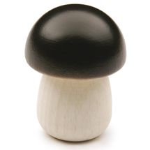 Steinpilz ER12260 Erzi 1