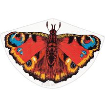 Pfauenauge-Drachen GU-1103 Günther 1