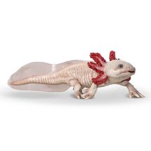 Axolotl-Figur PA-56066 Papo 1