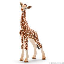 Baby-Giraffe SC14751 Schleich 1