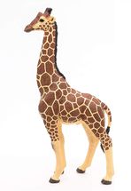 Männliche Giraffenfigur PA50149-3612 Papo 1