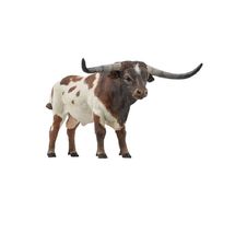 Longhorn Bull Figur PA-51156 Papo 1