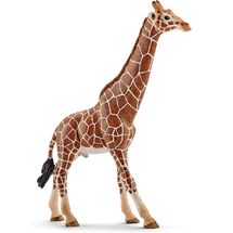 Männliche Giraffenfigur SC-14749 Schleich 1