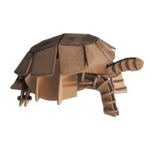 3D Papiermodell - Schildkröte FR-11625 Fridolin 1