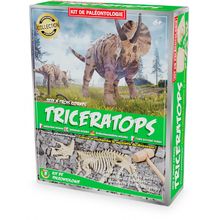 Paläontologie-Kit - Triceratops UL2821 Ulysse 1