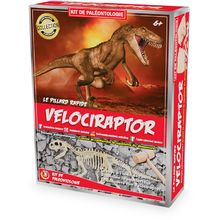 Paläontologie-Kit - Velociraptor UL2822 Ulysse 1