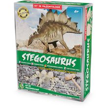 Paläontologie-Kit - Stegosaurus UL2823 Ulysse 1