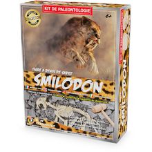 Paläontologie-Kit - Smilodon UL2827 Ulysse 1