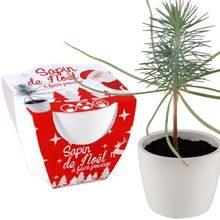 Weißer Keramiktopf 8 cm - Weihnachtsbaum RC-032835 Radis et Capucine 1