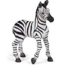 Baby-Zebra-Figur PA50123-4551 Papo 1
