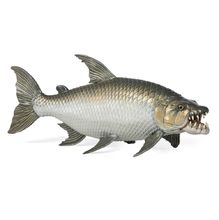 Goliath-Tigerfisch-Figur PA-56065 Papo 1