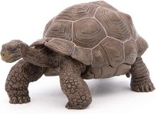 Galapagos-Schildkrötenfigur PA50161-3929 Papo 1