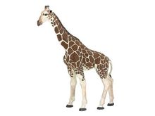 Giraffenfigur PA50096-2914 Papo 1