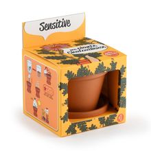 Ich züchte meinen Mimosa RC-025965 Radis et Capucine 1