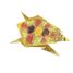 Coloring Origami - Schildkröte FR-11385 Fridolin 3