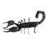 3D Papiermodell - Skorpion FRI-11604 Fridolin 5
