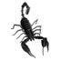 3D Papiermodell - Skorpion FRI-11604 Fridolin 1