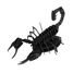 3D Papiermodell - Skorpion FRI-11604 Fridolin 3