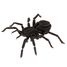 3D Papiermodell - Vogelspinne FRI-11605 Fridolin 3