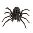 3D Papiermodell - Vogelspinne FRI-11605 Fridolin 2