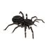 3D Papiermodell - Vogelspinne FRI-11605 Fridolin 1