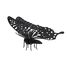 3D Papiermodell - Schmetterling FRI-11607 Fridolin 1