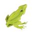 3D Papiermodell - Frosch FR-11609 Fridolin 3
