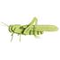3D Papiermodell - Heuschrecke FRI-11608 Fridolin 2