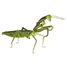 3D Papiermodell - Gottesanbeterin FRI-11624 Fridolin 1