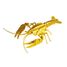3D Papiermodell - Hummer FR-11629 Fridolin 1