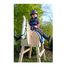Holzpferd LE11664 Small Foot company 3