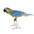 3D Papiermodell - Papagei FRI-11677 Fridolin 1