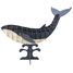 3D Papiermodell - Blauwal FI-11725 Fridolin 1