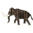 3D Papiermodell - Mammut FR-11727 Fridolin 1